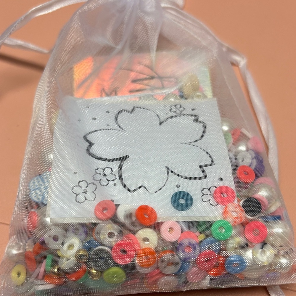 Colorful Bead Assortment in Sheer Bag